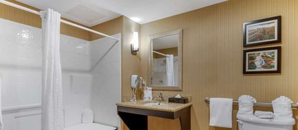 Comfort Suites North Room