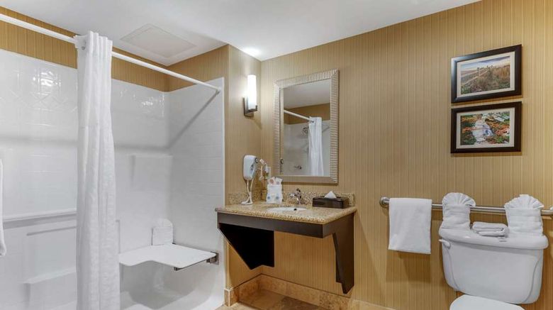 <b>Comfort Suites North Room</b>. Images powered by <a href="https://iceportal.shijigroup.com/" title="IcePortal" target="_blank">IcePortal</a>.