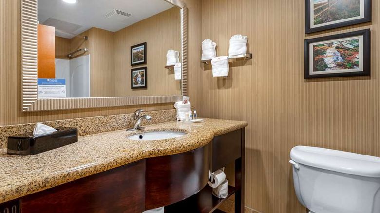 <b>Comfort Suites North Room</b>. Images powered by <a href="https://iceportal.shijigroup.com/" title="IcePortal" target="_blank">IcePortal</a>.