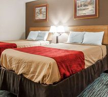 Econo Lodge Inn and Suites Jackson Northwest Room