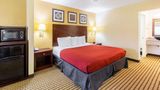 Quality Inn & Suites Room