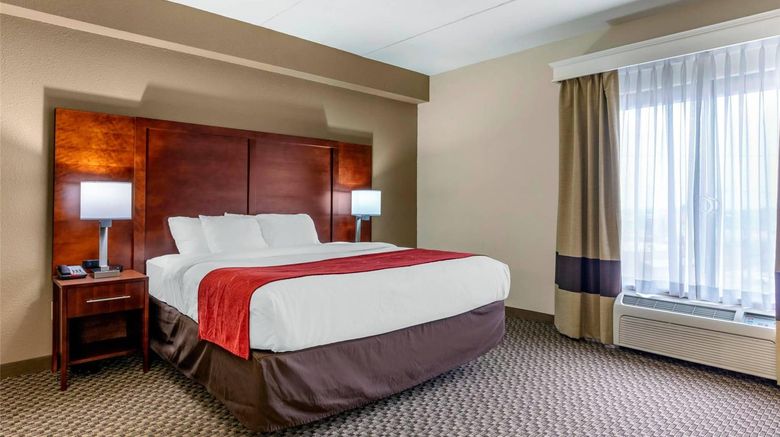 <b>Comfort Suites Smyrna - Nashville Area Suite</b>. Images powered by <a href="https://iceportal.shijigroup.com/" title="IcePortal" target="_blank">IcePortal</a>.