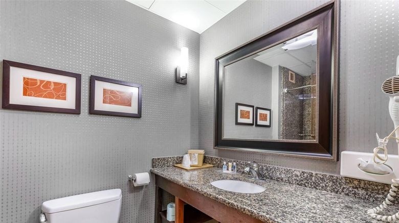 <b>Comfort Suites Smyrna - Nashville Area Suite</b>. Images powered by <a href="https://iceportal.shijigroup.com/" title="IcePortal" target="_blank">IcePortal</a>.