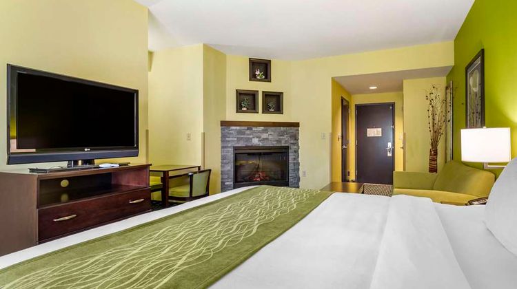 Comfort Inn Room