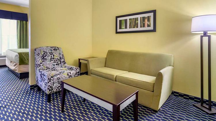 Comfort Inn Suite