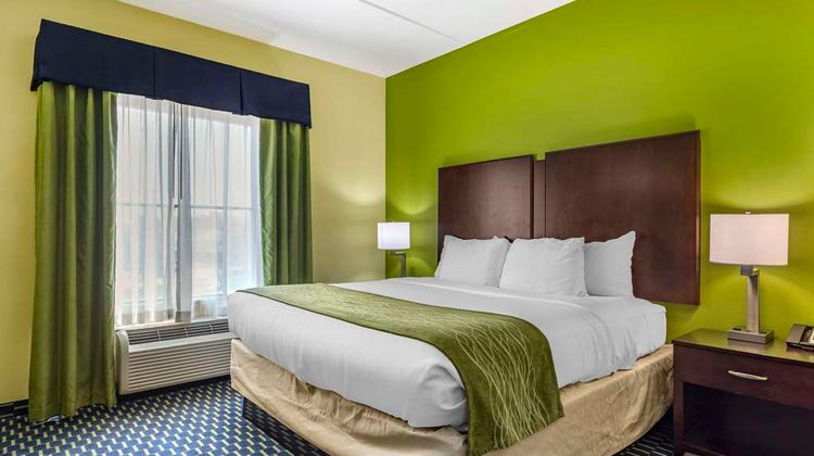 Comfort Inn Suite