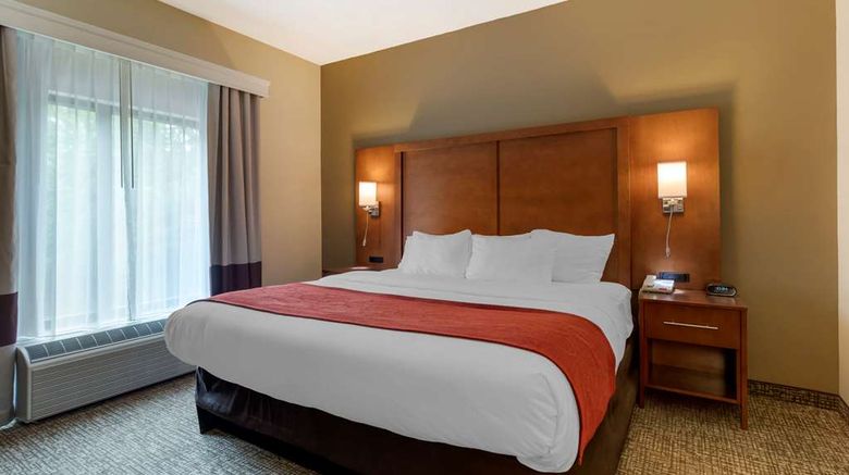 <b>Comfort Suites Kingsport South Suite</b>. Images powered by <a href="https://iceportal.shijigroup.com/" title="IcePortal" target="_blank">IcePortal</a>.