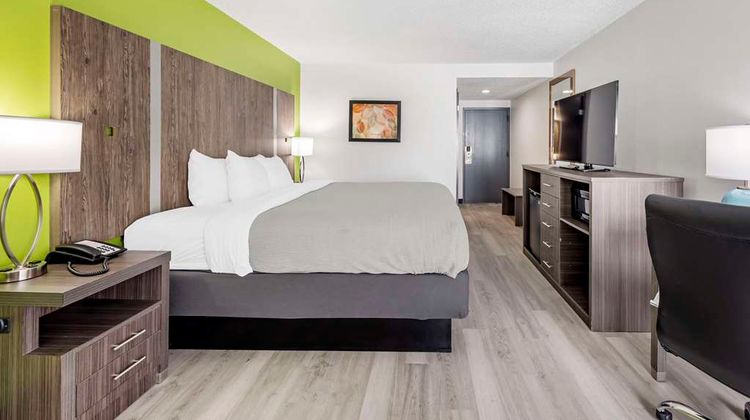 Quality Inn Room