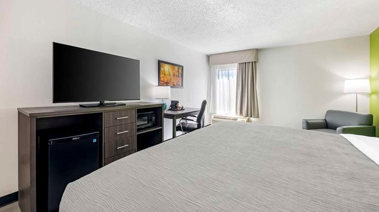Quality Inn Room