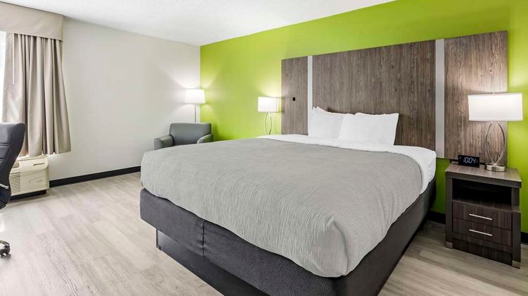 Quality Inn Room