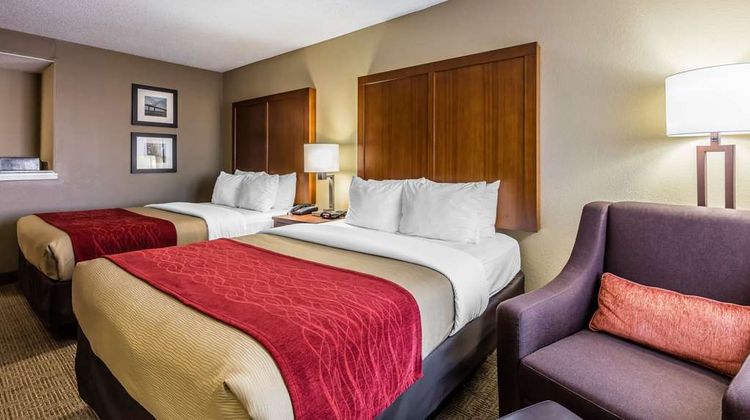 Comfort Inn/Suites Airport-American Way Room