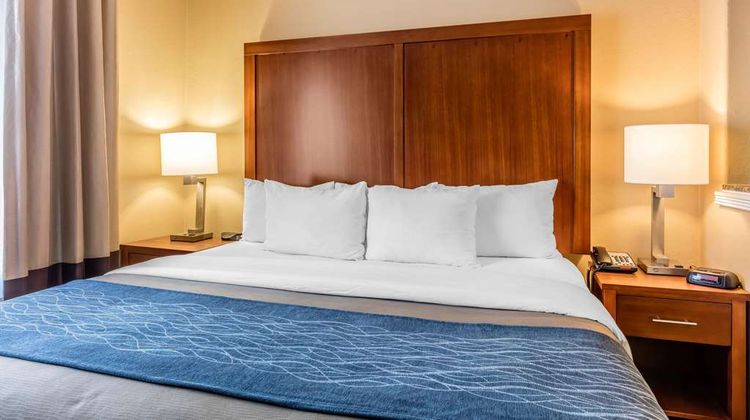 Comfort Inn/Suites Airport-American Way Suite