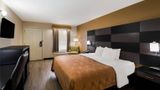 <b>Quality Inn Room</b>. Images powered by <a href="https://iceportal.shijigroup.com/" title="IcePortal" target="_blank">IcePortal</a>.