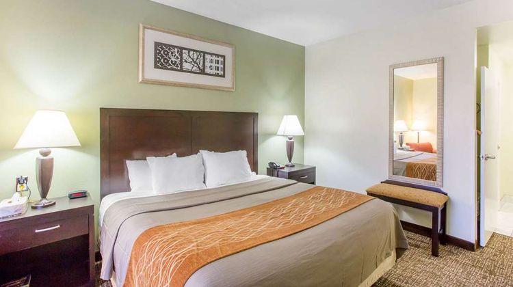 Comfort Inn Franklin Room
