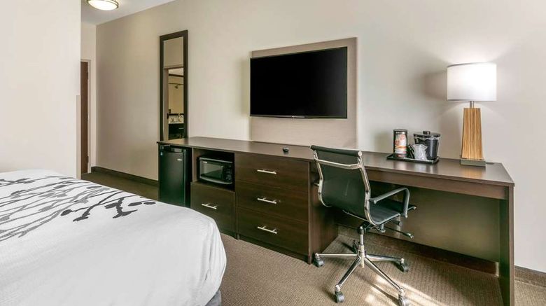 <b>Sleep Inn & Suites Columbia Room</b>. Images powered by <a href="https://iceportal.shijigroup.com/" title="IcePortal" target="_blank">IcePortal</a>.