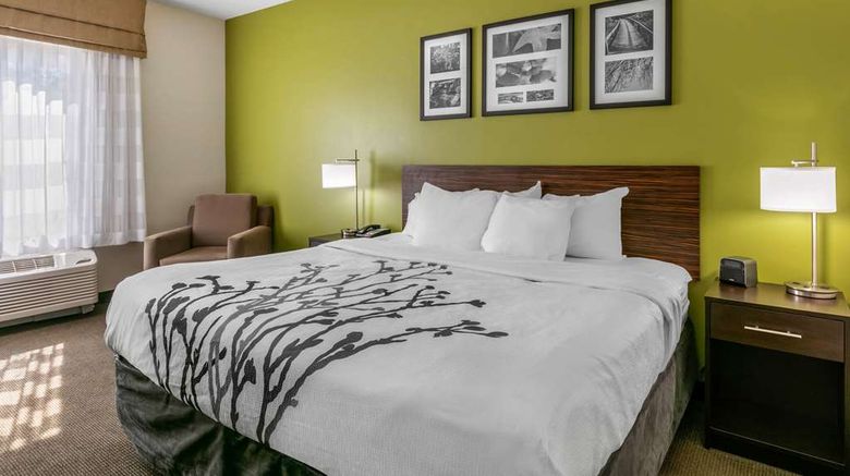 <b>Sleep Inn & Suites Columbia Room</b>. Images powered by <a href="https://iceportal.shijigroup.com/" title="IcePortal" target="_blank">IcePortal</a>.