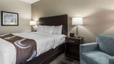 Quality Inn Pleasant View Room