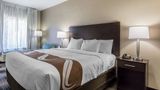 Quality Inn Pleasant View Room