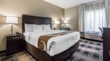 Quality Inn Pleasant View Room