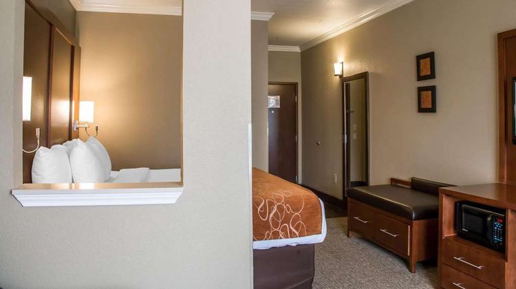 Comfort Suites of New Braunfels Room