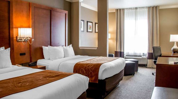 Comfort Suites of New Braunfels Suite