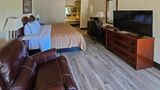 <b>Quality Inn Ennis Room</b>. Images powered by <a href="https://iceportal.shijigroup.com/" title="IcePortal" target="_blank">IcePortal</a>.