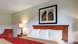 Rodeway Inn New Braunfels Room