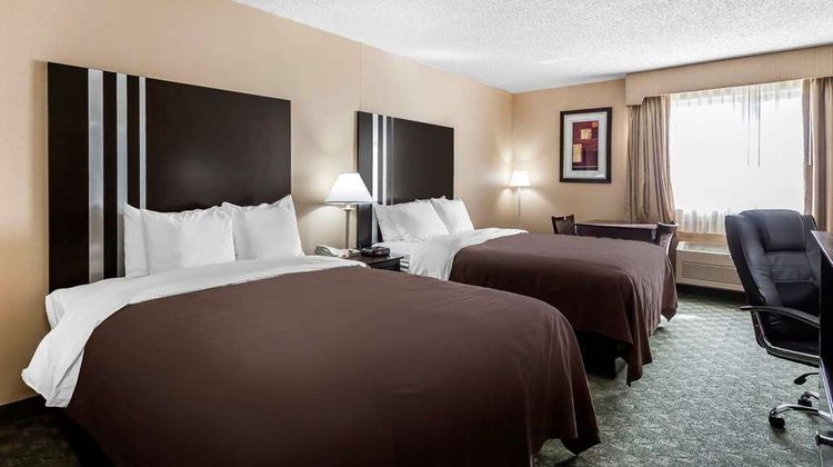 Quality Inn Room