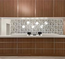 Comfort Suites North - Fossil Creek Lobby