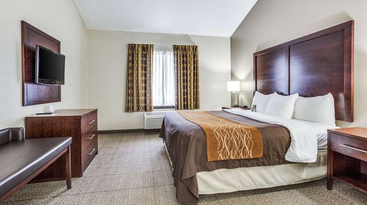 Comfort Inn & Suites Market Ctr Suite