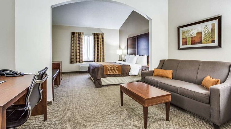 Comfort Inn & Suites Market Ctr Suite