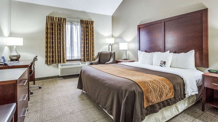 Comfort Inn & Suites Market Ctr Room