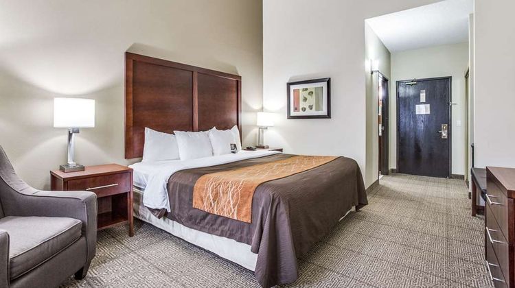 Comfort Inn & Suites Market Ctr Room