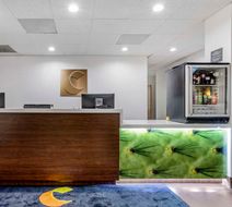 Comfort Suites Willowbrook Lobby