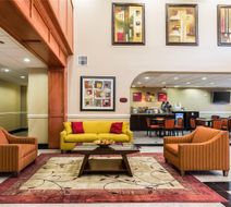 Comfort Suites Westchase Lobby