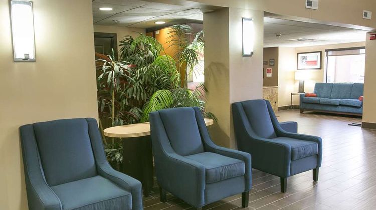 Comfort Suites North Lobby