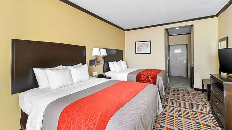Quality Inn & Suites Lubbock Room