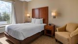 Comfort Suites Texas Medical Center Room