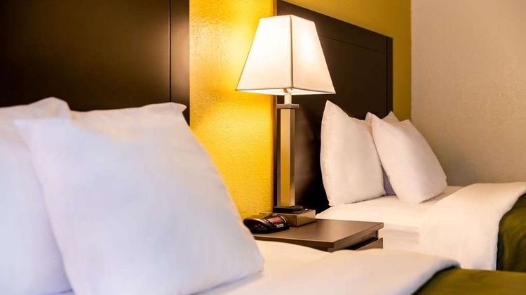 Quality Inn At Arlington Highlands Room