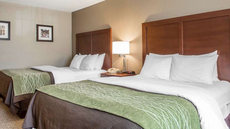 Comfort Inn Edinburg Room