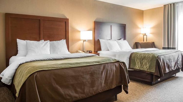 Comfort Inn Edinburg Room