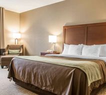 Comfort Inn Edinburg Room