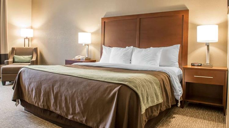 Comfort Inn Edinburg Room