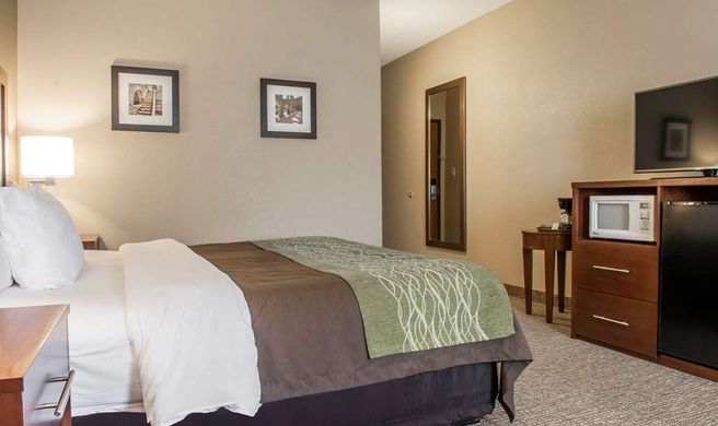 Comfort Inn Edinburg Room