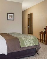 Comfort Inn Edinburg