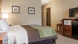 Comfort Inn Edinburg