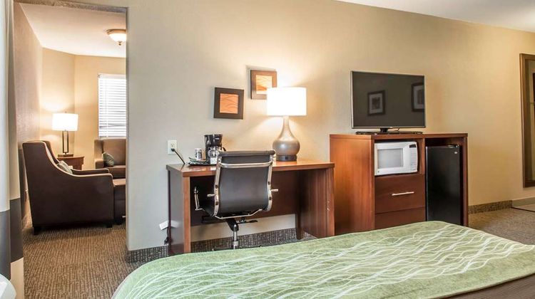 Comfort Inn Edinburg Suite