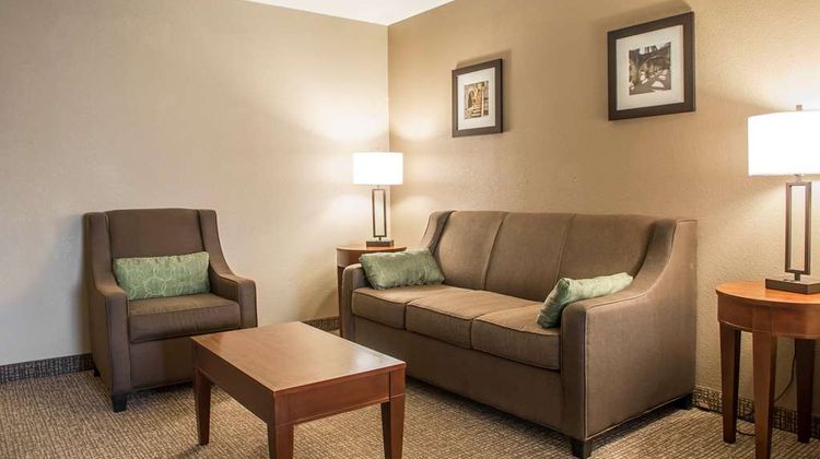 Comfort Inn Edinburg Suite