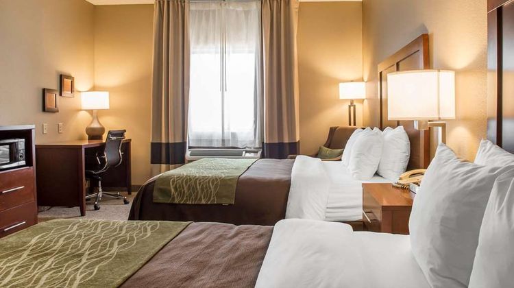 Comfort Inn Edinburg Suite