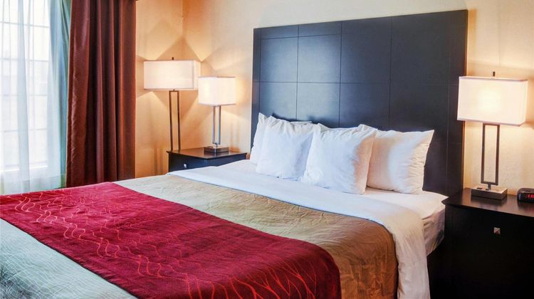 Comfort Inn & Suites Room